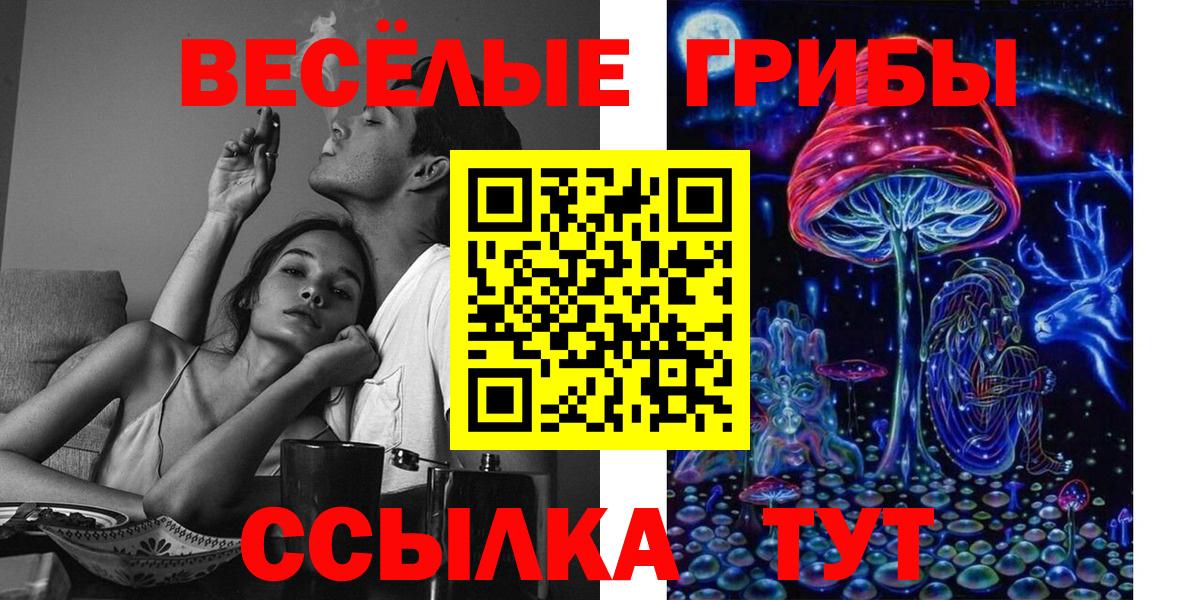 Чистополь  Галлюциногенные грибы мухоморы  дарнет шоп  Вход с VPN 