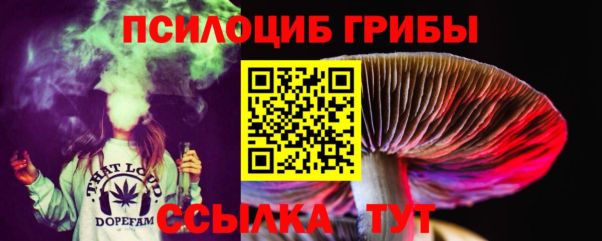 Псилоцибиновые грибы GOLDEN TEACHER Чистополь