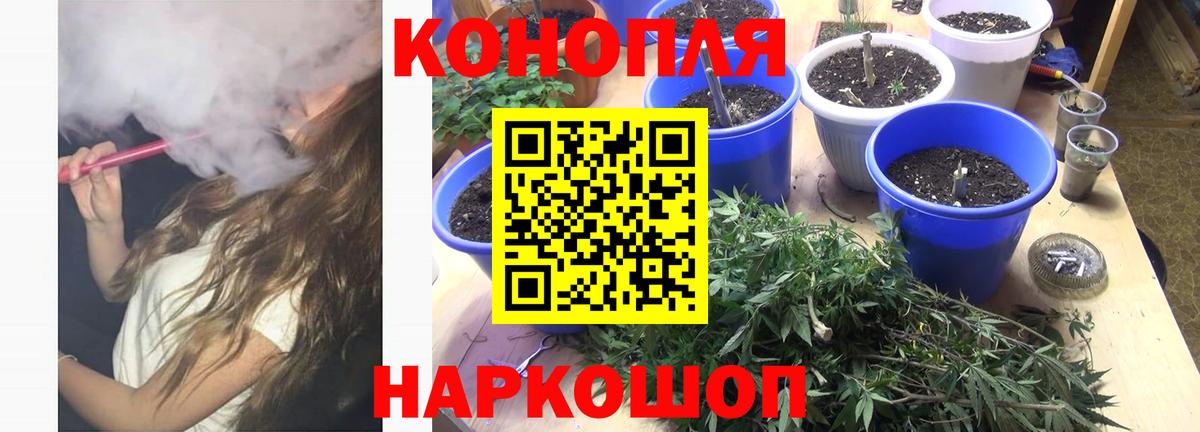 Марихуана конопля Чистополь