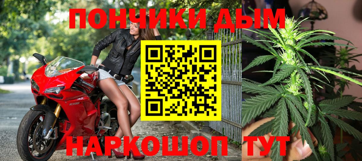 Каннабис индика  Вход с VPN  Чистополь  Каннабис план 